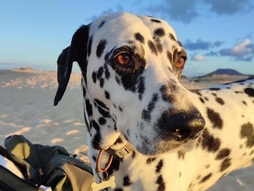 Fuerteventura Casa Tikuna La Oliva Ngoại thất bức ảnh